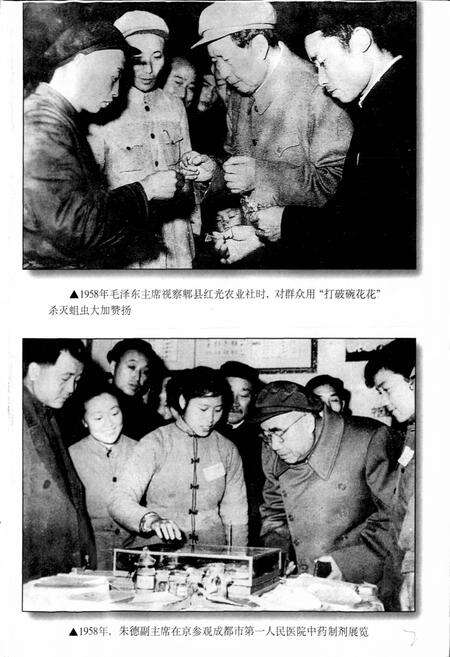 《成都市志 卫生志》.pdf电子版_四川省志预览图4