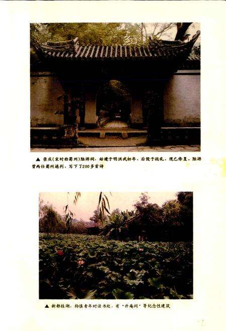 《成都市志 文学志》.pdf电子版_四川省志预览图5