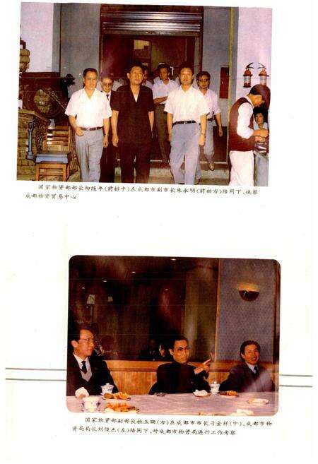 《成都市志 物资志》.pdf电子版_四川省志预览图5