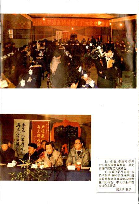 《成都市志 乡镇企业志》.pdf电子版_四川省志预览图4