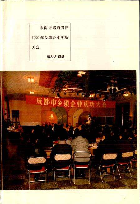 《成都市志 乡镇企业志》.pdf电子版_四川省志预览图5