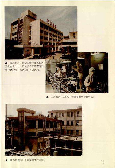 《成都市志 医药志》.pdf电子版_四川省志预览图5