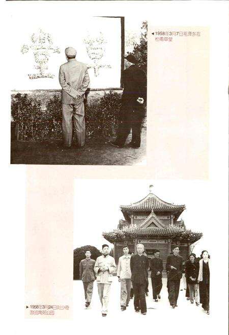 《成都市志 园林志》.pdf电子版_四川省志预览图5