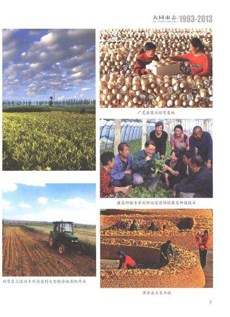 《大同市志1993-2013第六册》.pdf电子版_山西省志预览图5