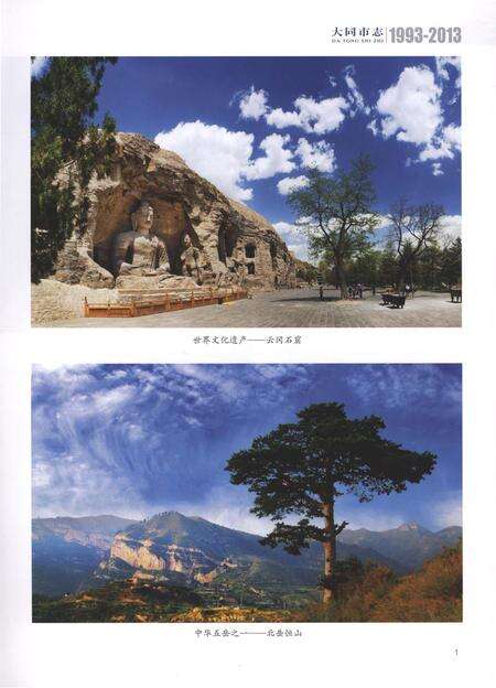 《大同市志1993-2013第四册》.pdf电子版_山西省志预览图3