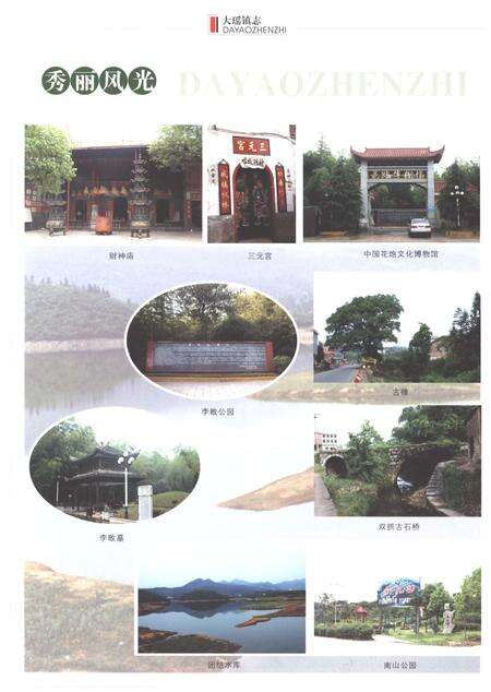 《大瑶镇志1949-2002》.pdf电子版_湖南省志预览图5