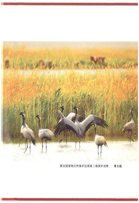 《鄂温克族自治旗志(1991~2005年)》.pdf电子版_内蒙古自治区志预览图5