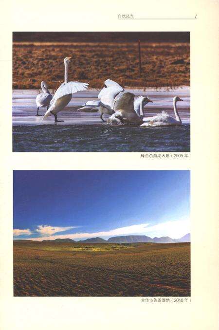 《甘南州志1991-2010上》.pdf电子版_甘肃省志预览图5