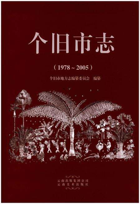 《个旧市志(1978-2005)》.pdf电子版_云南省志预览图1