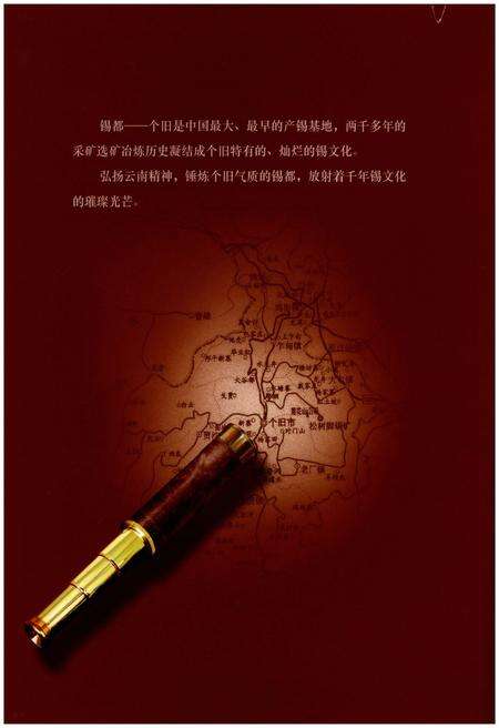 《个旧市志(1978-2005)》.pdf电子版_云南省志预览图4