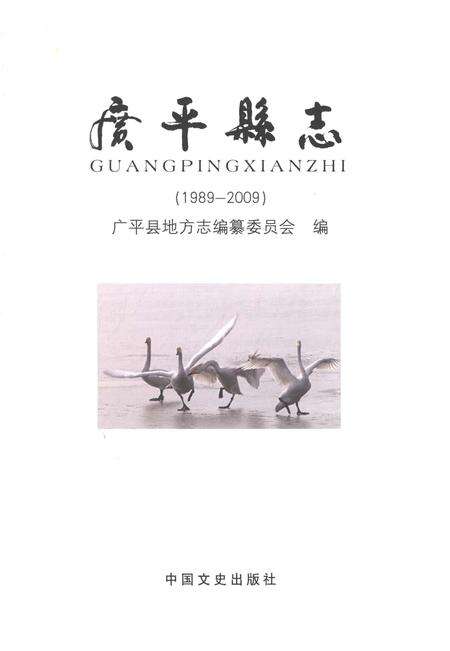 《广平县志1989-2009》.pdf电子版_河南省志预览图1