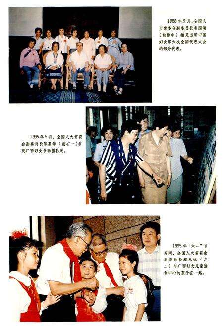 《广西通志 妇联志》.pdf电子版_广西壮族自治区志预览图5