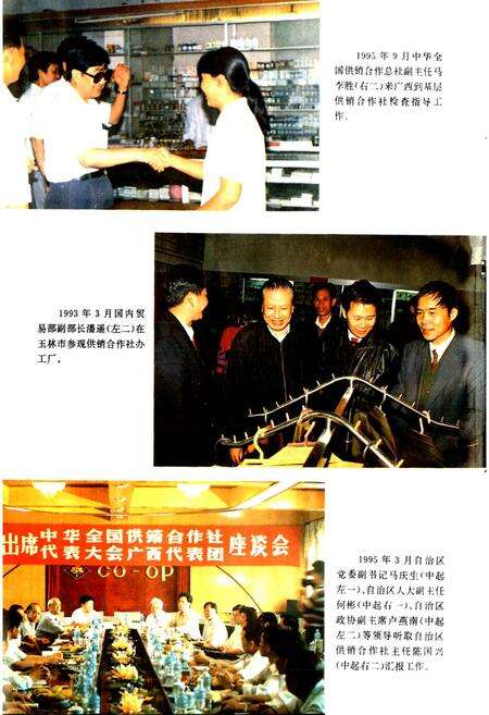 《广西通志 供销合作社志》.pdf电子版_广西壮族自治区志预览图4