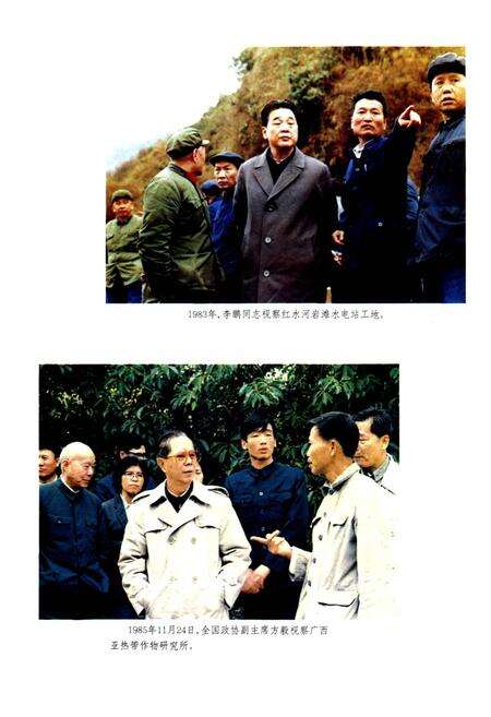 《广西通志 科学技术志》.pdf电子版_广西壮族自治区志预览图5