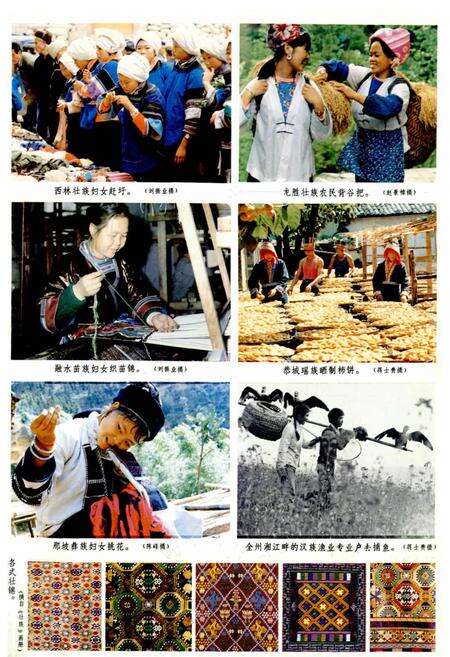 《广西通志 民俗志》.pdf电子版_广西壮族自治区志预览图3