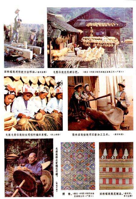 《广西通志 民俗志》.pdf电子版_广西壮族自治区志预览图4