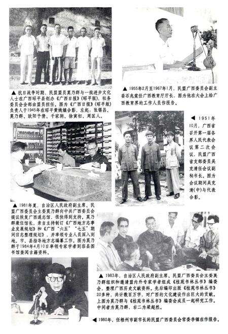 《广西通志 民主党派、工商联志》.pdf电子版_广西壮族自治区志预览图5