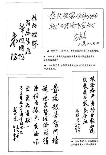 《广西通志 农垦志》.pdf电子版_广西壮族自治区志预览图5