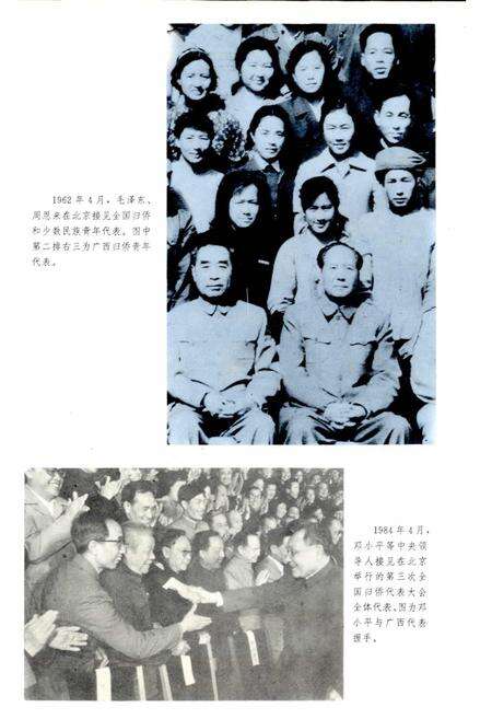 《广西通志 侨务志》.pdf电子版_广西壮族自治区志预览图5