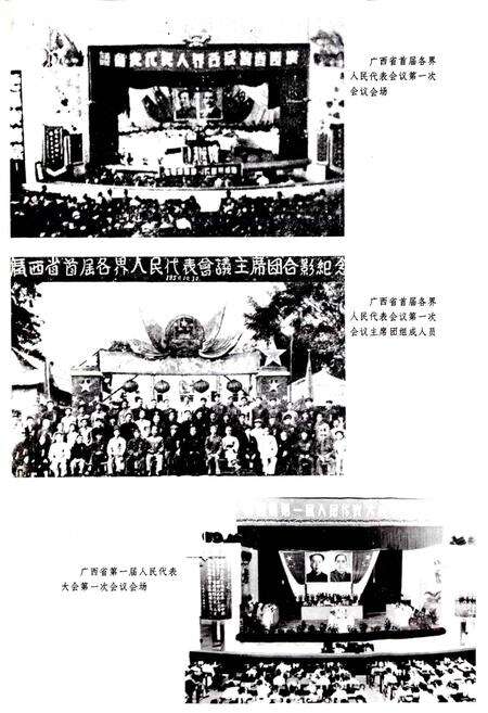 《广西通志 人民代表大会志》.pdf电子版_广西壮族自治区志预览图4