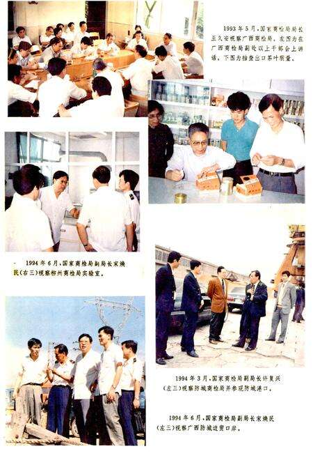 《广西通志 商检志》.pdf电子版_广西壮族自治区志预览图4