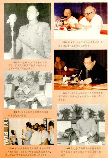 《广西通志 少数民族语言志》.pdf电子版_广西壮族自治区志预览图1