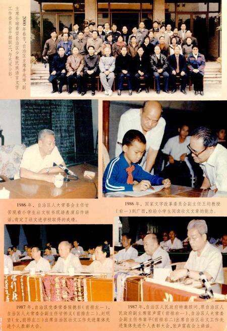 《广西通志 少数民族语言志》.pdf电子版_广西壮族自治区志预览图3