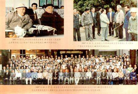 《广西通志 少数民族语言志》.pdf电子版_广西壮族自治区志预览图4