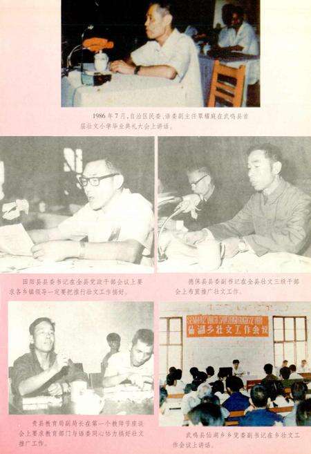 《广西通志 少数民族语言志》.pdf电子版_广西壮族自治区志预览图5