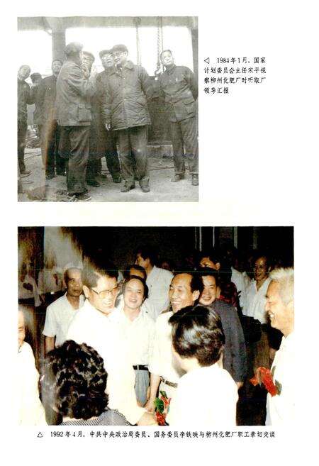 《广西通志 石油、化学工业志》.pdf电子版_广西壮族自治区志预览图4