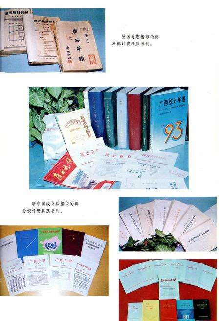 《广西通志 统计志》.pdf电子版_广西壮族自治区志预览图5
