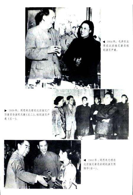 《广西通志 文化志》.pdf电子版_广西壮族自治区志预览图3