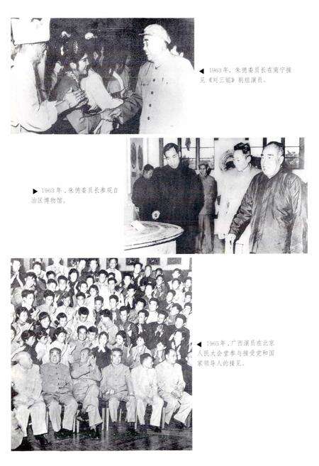 《广西通志 文化志》.pdf电子版_广西壮族自治区志预览图4