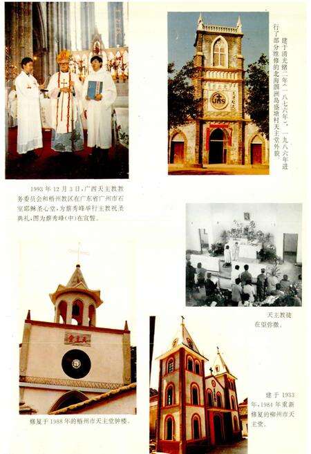 《广西通志 宗教志》.pdf电子版_广西壮族自治区志预览图5