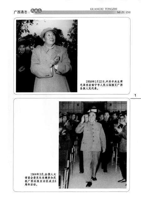 《广西通志·民族志(上)》.pdf电子版_广西壮族自治区志预览图4