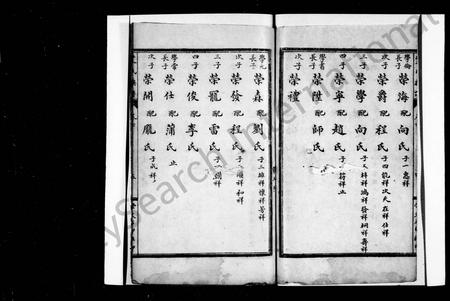 四川艾氏-艾氏族谱 [残卷].pdf电子版预览图3