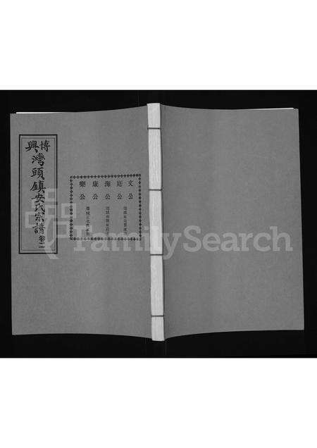 0011.博兴湾头镇安氏宗谱 [残存卷2](别名：安氏宗谱、安氏世谱).pdf电子版缩略图