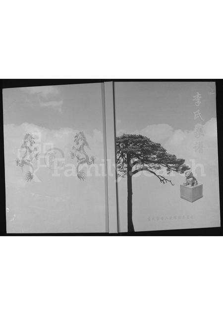 3677.李氏家谱 ： 横山县殿市镇大小石畔支派(别名：李氏家谱).pdf电子版缩略图