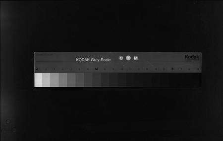 3742.廖氏族谱 [残卷](别名：Liao Shi Zu Pu、廖氏族谱).pdf电子版缩略图