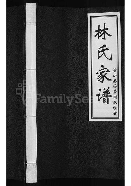 3782.林氏家谱 ： 靖西县荣劳街双桂堂(别名：林氏家谱).pdf电子版缩略图