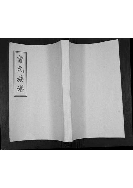 4856.甯氏族谱.pdf电子版缩略图