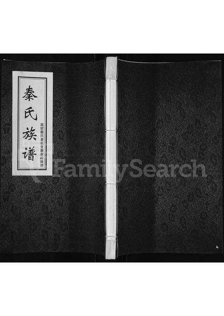 5150.秦氏族谱 ： 高密秦氏老长支秦家岭族谱(别名：秦氏族谱).pdf电子版缩略图