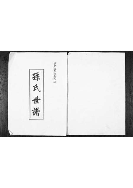 5801.乐安山桓台西店孙氏世谱 [1册](别名：Le An Shan Huan Tai Xi Dian Sun Shi Shi Pu、乐安山桓台西店孙氏宗谱).pdf电子版缩略图