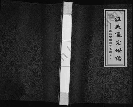 6188.汪氏通宗世谱 ： 忠勤堂陶山支系谱 [8卷].pdf电子版缩略图