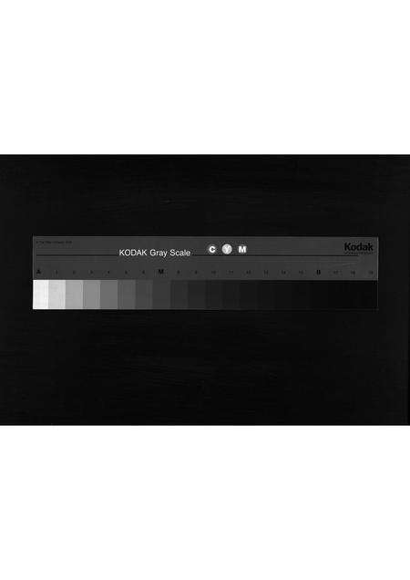 0547.[陈氏]朝遵、朝节派实录(别名：陈氏家谱、Chaozun、Chaojie Pai Shi Lu、[陈氏]朝遵、节派实录).pdf电子版缩略图