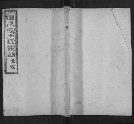 6313.追远堂王氏家谱 [4卷,含卷首](别名：王氏家谱、Zhui Yuan Tang Wang Shi Jia Pu).pdf电子版缩略图