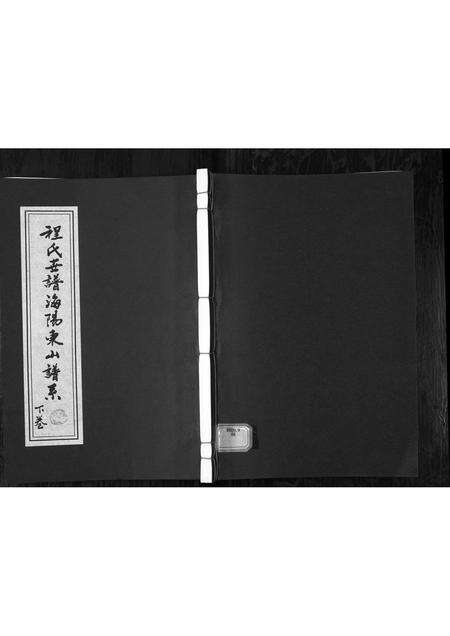 0771.程氏世谱海阳东山谱系[上中下卷](别名：Cheng Shi Shi Pu Hai Yang Dong Shan Pu Xi、程氏世谱东山谱系).pdf电子版缩略图