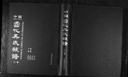 8804.中国霑化吴氏族谱[上下卷](别名：Zhong Guo Zhan Hua Wu Shi Zu Pu、沾化吴氏族谱).pdf电子版缩略图