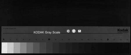 8810.伍氏族谱 [5卷,首1卷](别名：伍氏家谱、Wu Shi Zu Pu).pdf电子版缩略图