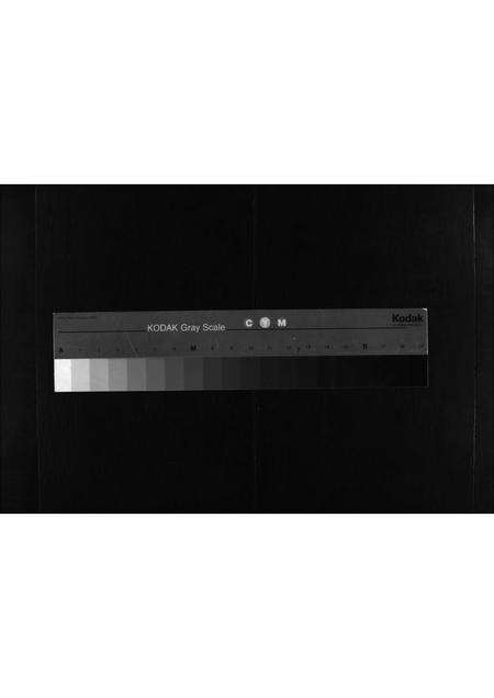 8961.萧氏家谱 [不分卷](别名：Xiao Shi Jia Pu、萧氏家谱).pdf电子版缩略图